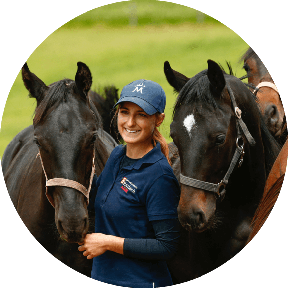 landgestuet marbach derby community einstiegsbild